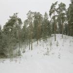 Picnic places