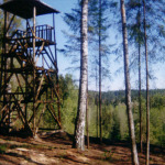 Platz für Sportveranstaltungen