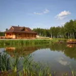 Pirtys, Saunos