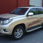 Automobilių atsarginės dalys, prekyba