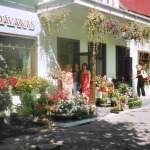 Dekorative Außenpflanzen