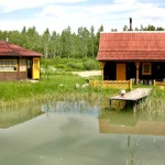 Saunas