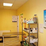 Veterinary clinics, services