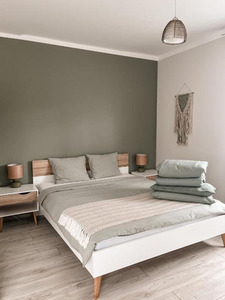 Palova Green, apartamentai 