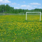 Sporto aikštelės