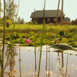Svečių namai