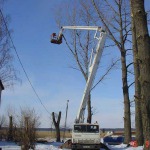 Спиливание опасных деревьев