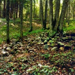 Turizmo vietovės
