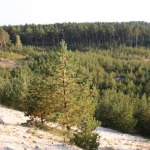 Kopos