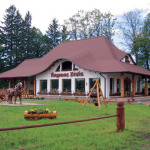 Žaidimų aikštelės