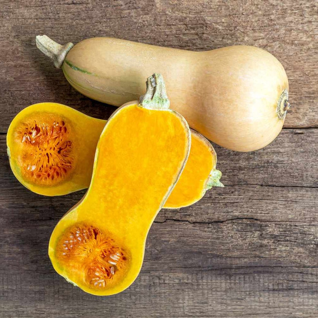 Pumpkin seedlings