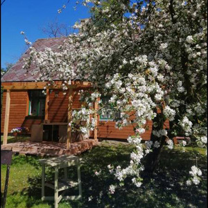 Searooms Lapmežciems, poilsio namai