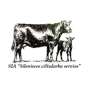 Silenieces ciltsdarba serviss, SIA