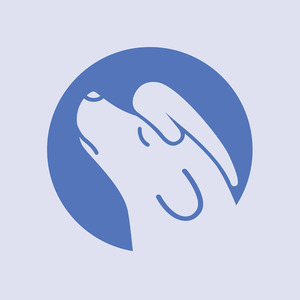 Silvas Grīnblates veterinārā privātprakse, veterinarijos klinika