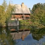 Pirtys, Saunos