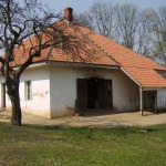 Kalviai
