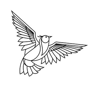 Sofia Lark, parduotuvė