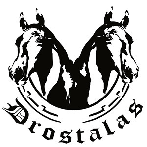 Sporta klubs Drostalas