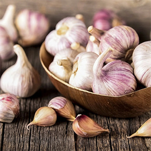 Tiegažu dārzeņi, SIA