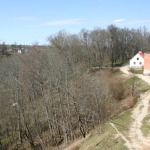 Miško takeliai