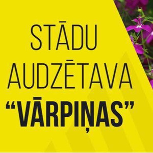 Vārpiņas, medelynas