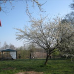 Vietos iškyloms