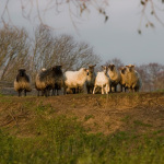 Erholung in der Natur