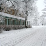 Poilsis gamtoje