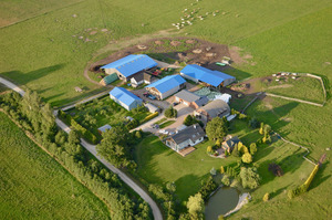 Vētras, svečių namai