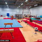 Gimnastikos klubai