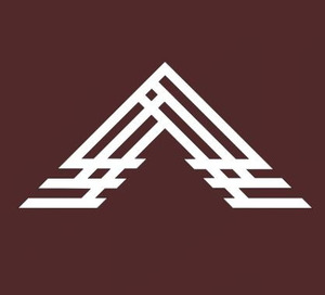 Viribus serviss, SIA