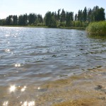 Žvejyba