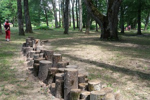 Zebrenes centra parks