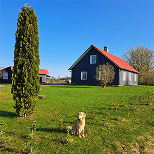 Zelta krogs, svečių namai