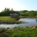 Pirtys, Saunos